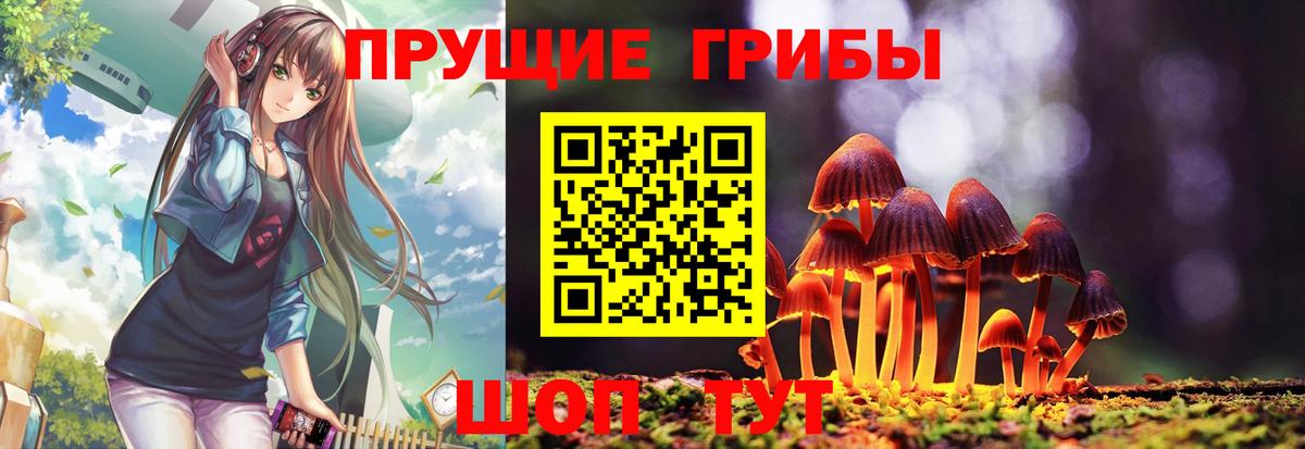 Белогорск  Галлюциногенные грибы Cubensis  Вход с VPN  Псилоцибиновые грибы Psilocybe 